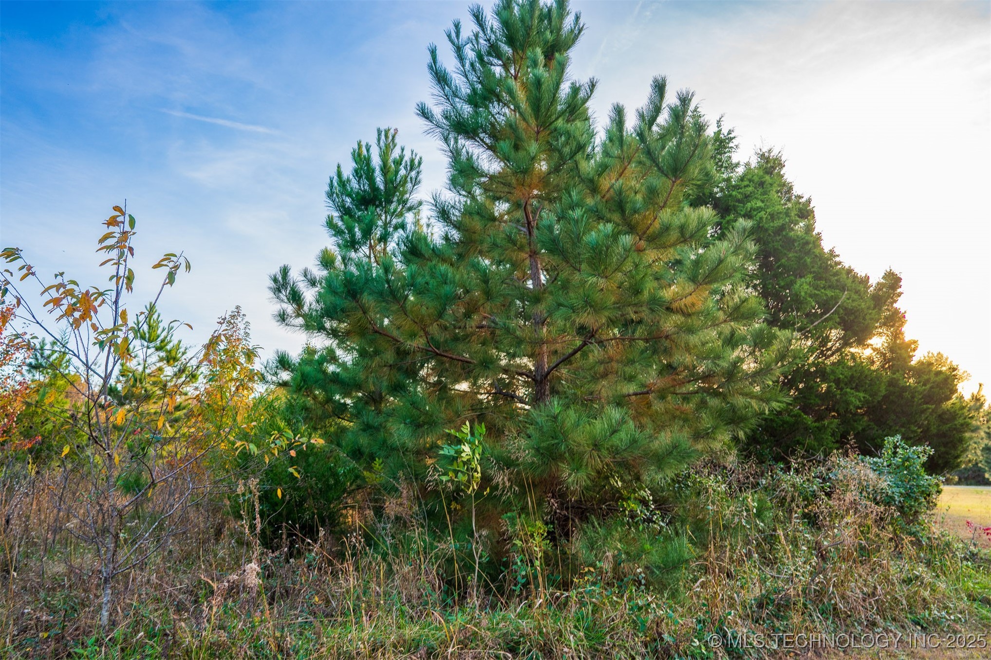 2 S 321st East Avenue