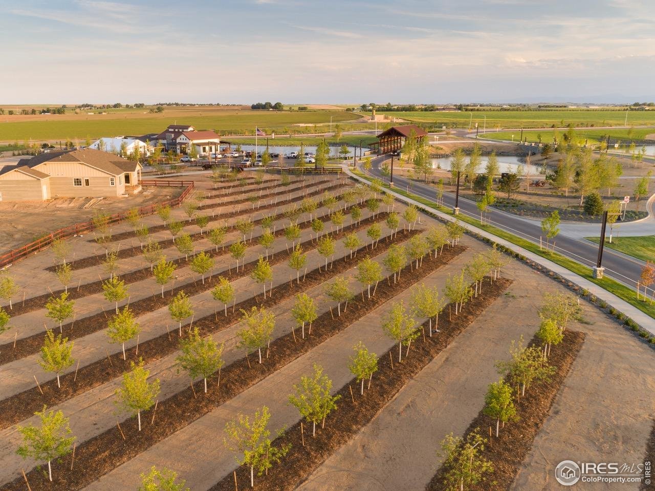 1714 Branching Canopy Dr