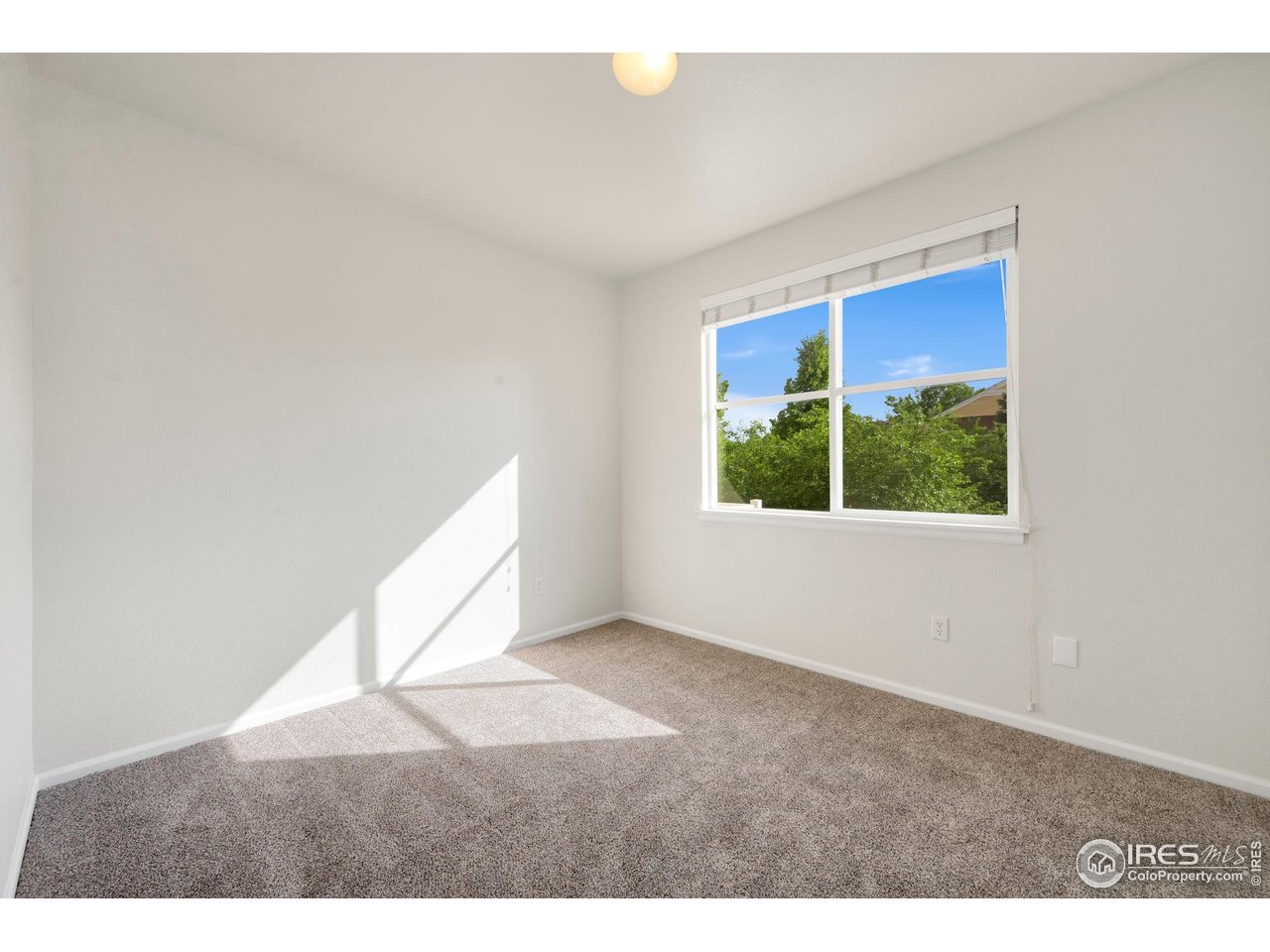 2075 Grays Peak Dr 202