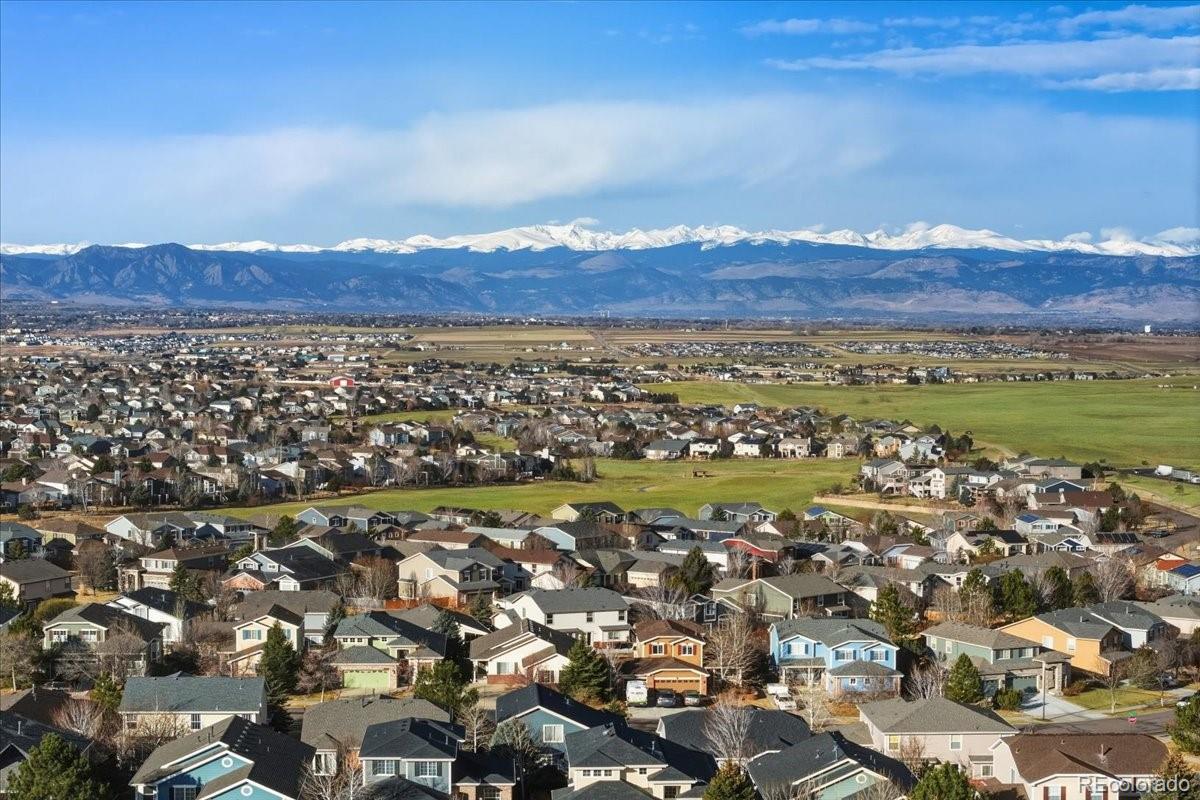 2099 Mountain Iris Drive