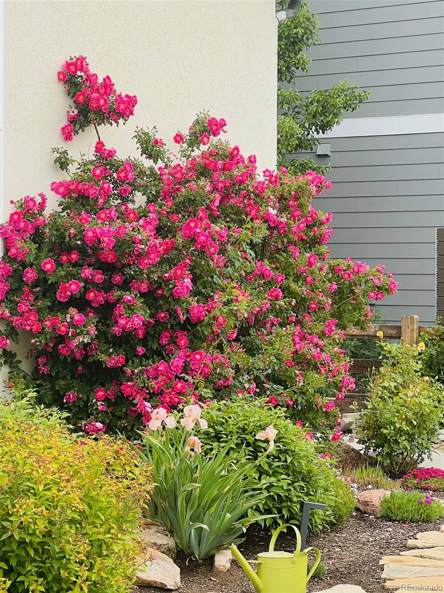 2252 Front Range Court