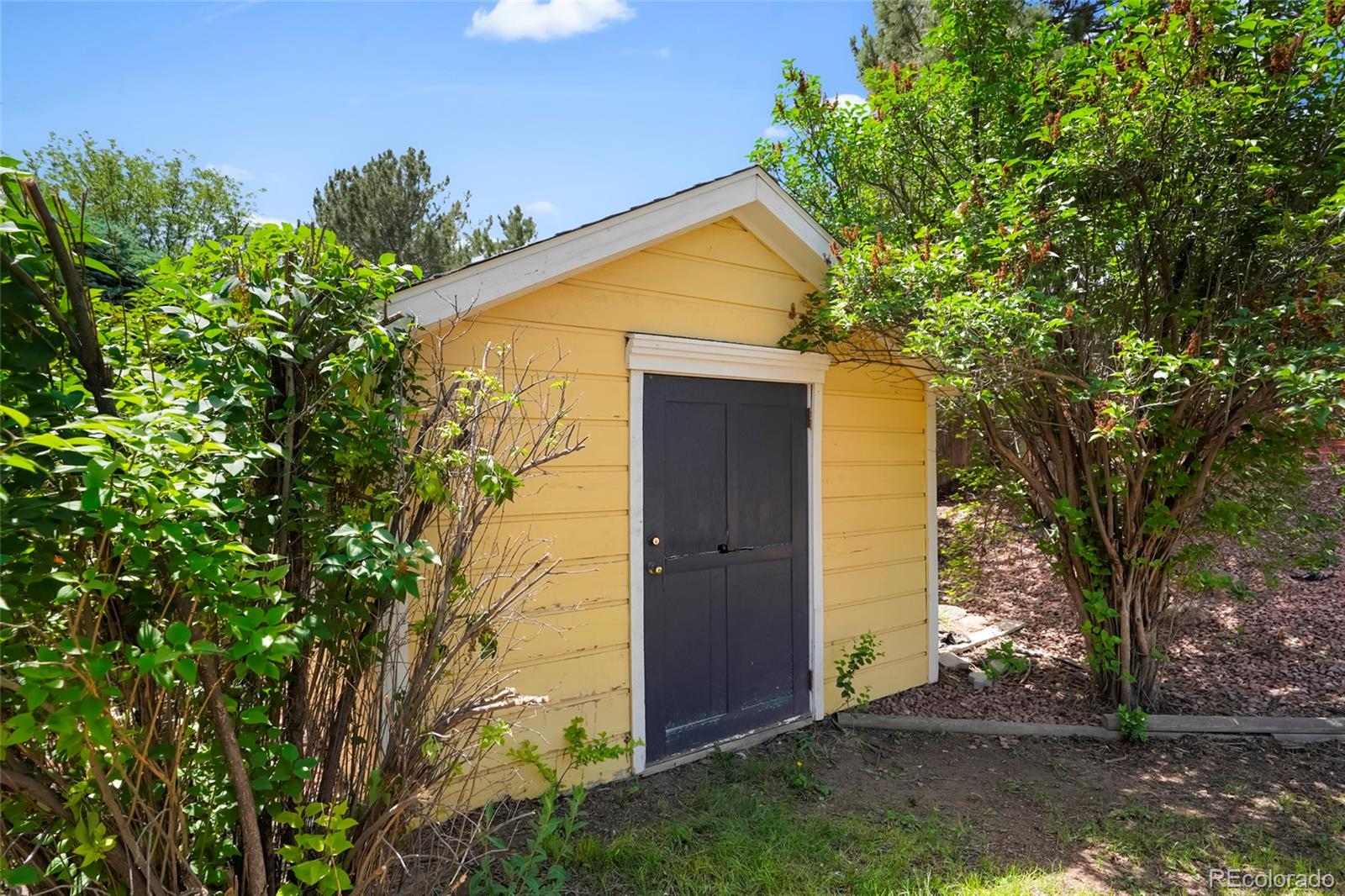768 Barberry Circle