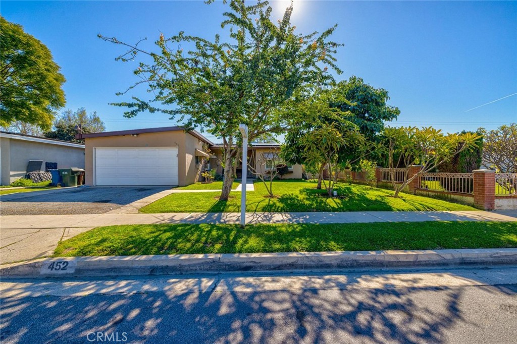 452 Willow