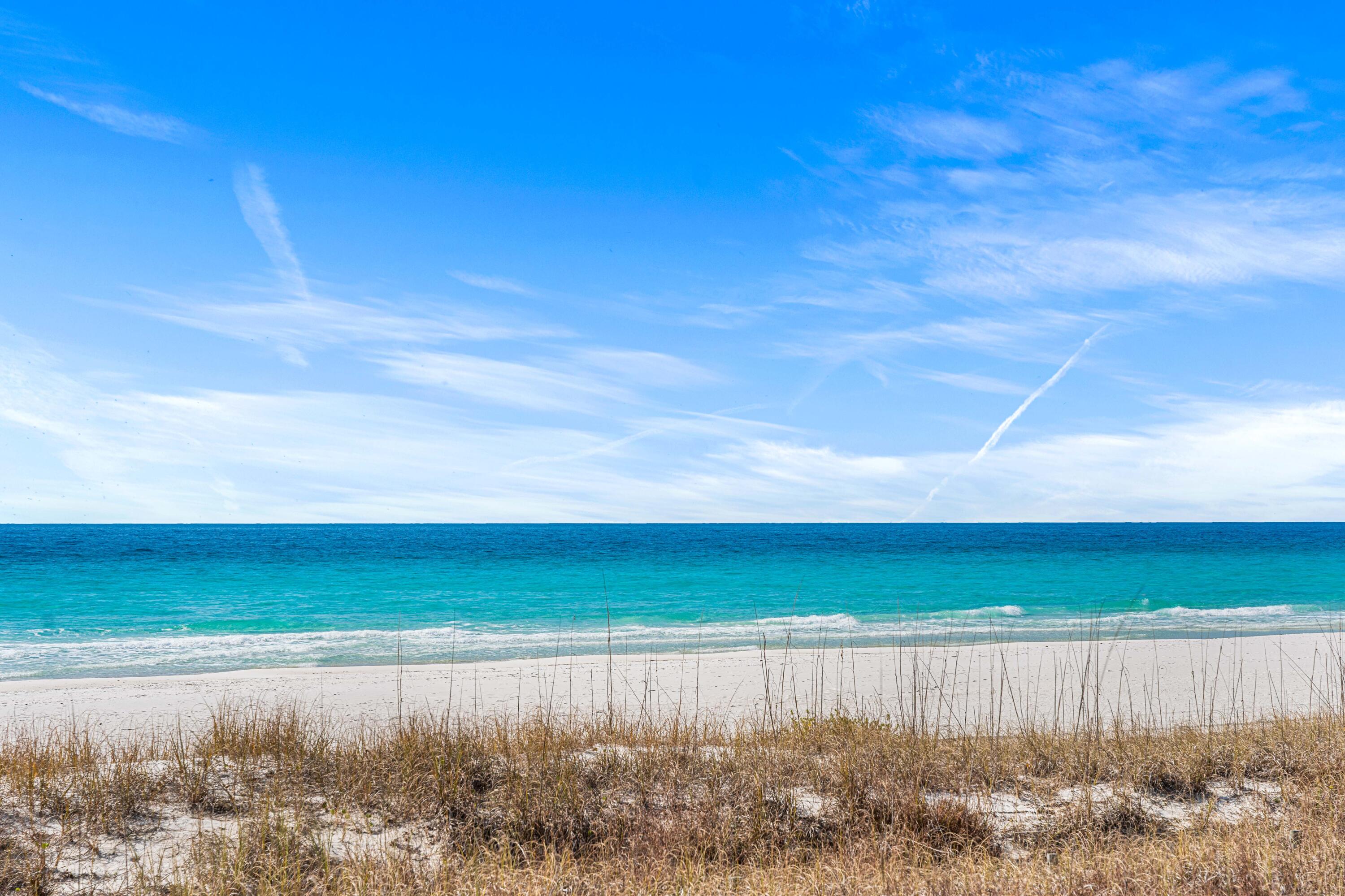 21820 Kelly Pines Place