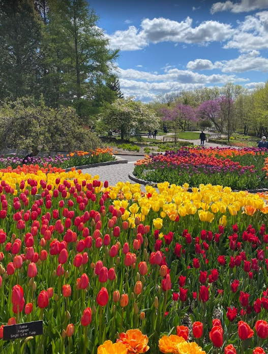 1664 Oak Creek Drive