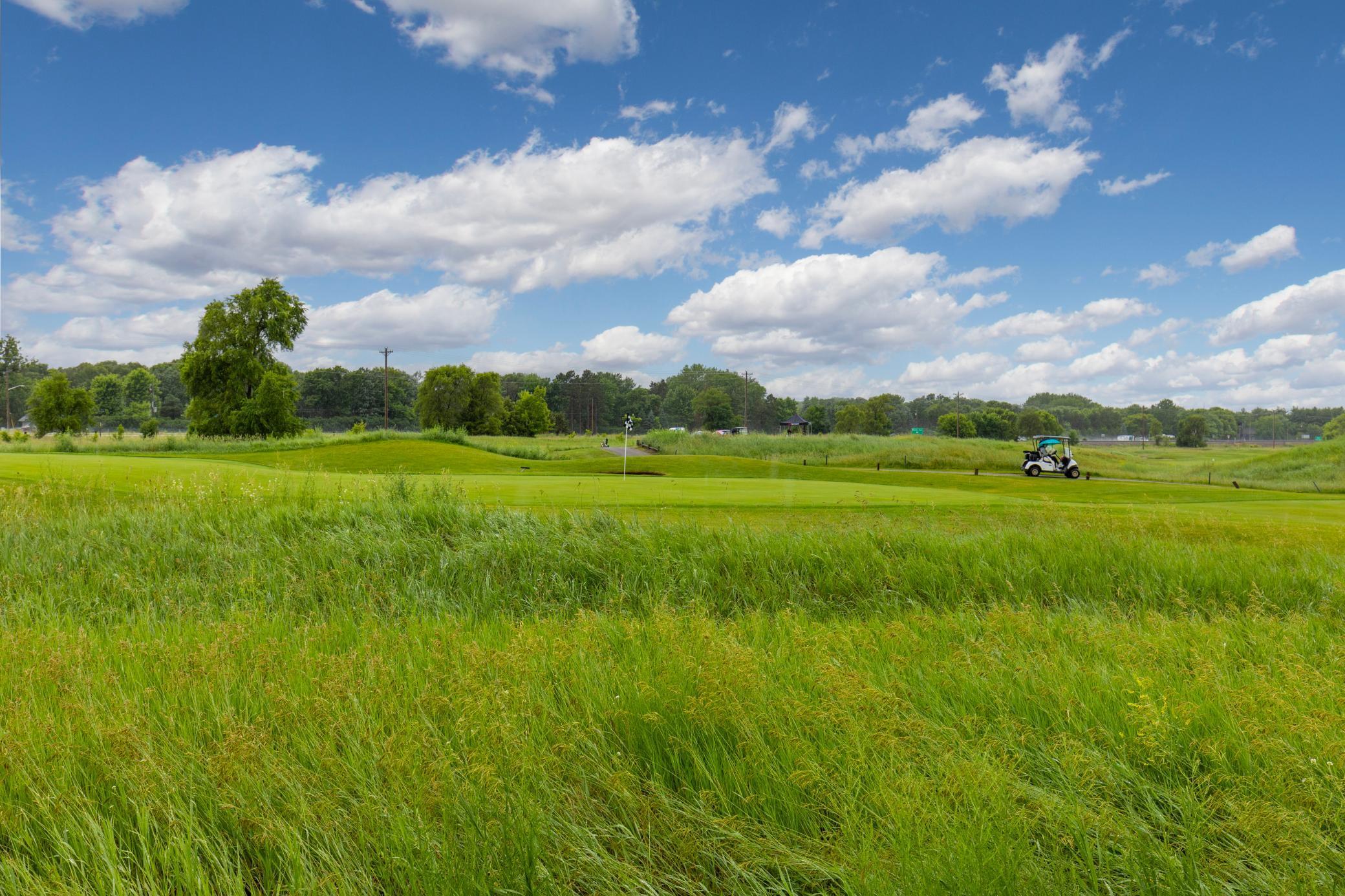 14964 Tiger Street NW