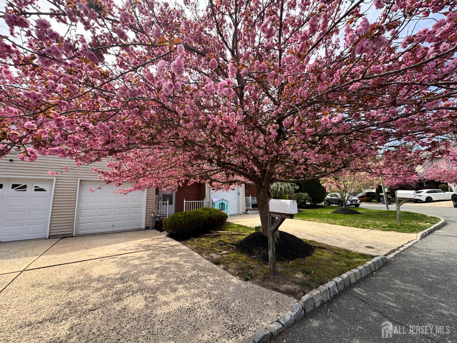 30 Goldsmith Drive