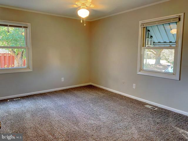 7 FARRAGUT COURT