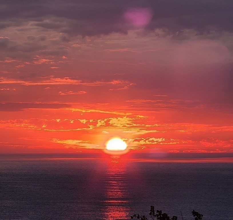 154 Hatherly Rd # 154