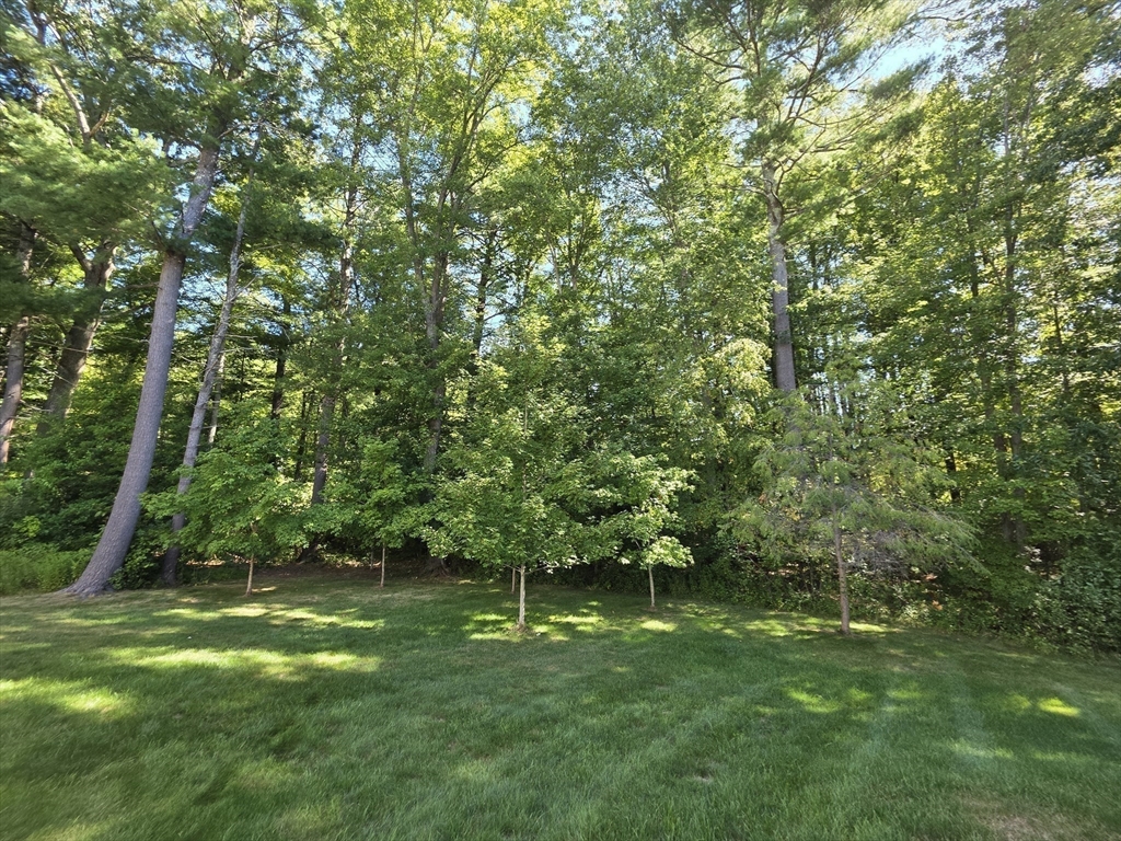 44 Stone Meadow Lane