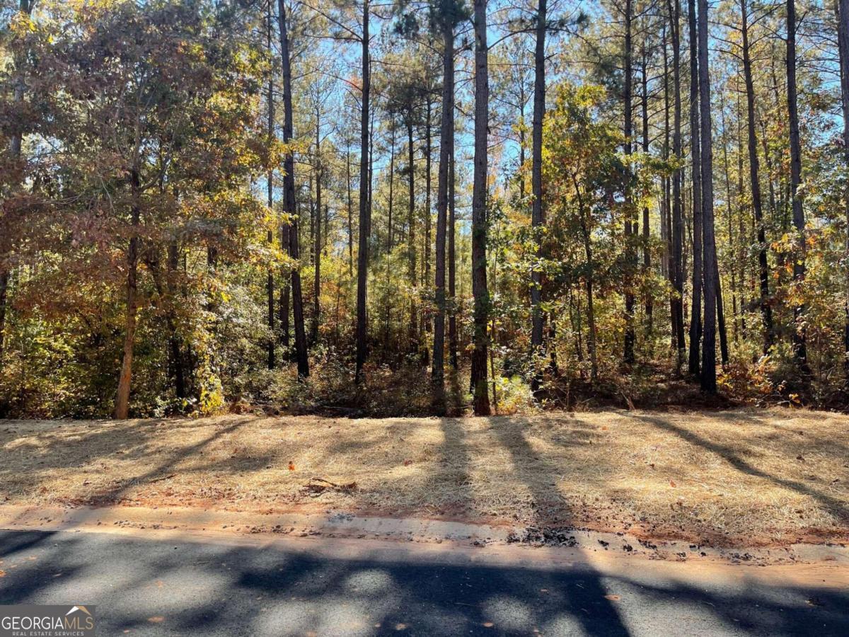 LOT13C Spratlin Mill Drive