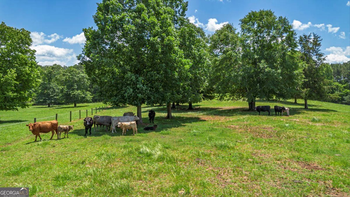 2638 Arnold Bottoms Road, Colber4t