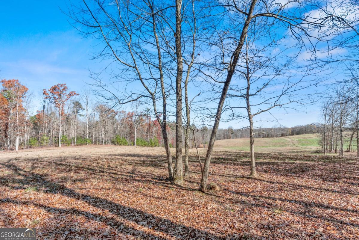 905 Adams Duncan Road