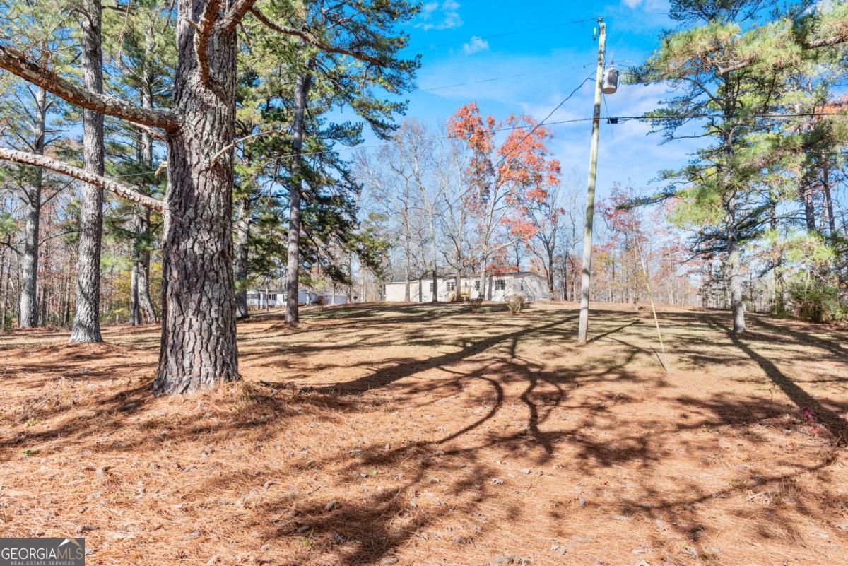 905 Adams Duncan Road