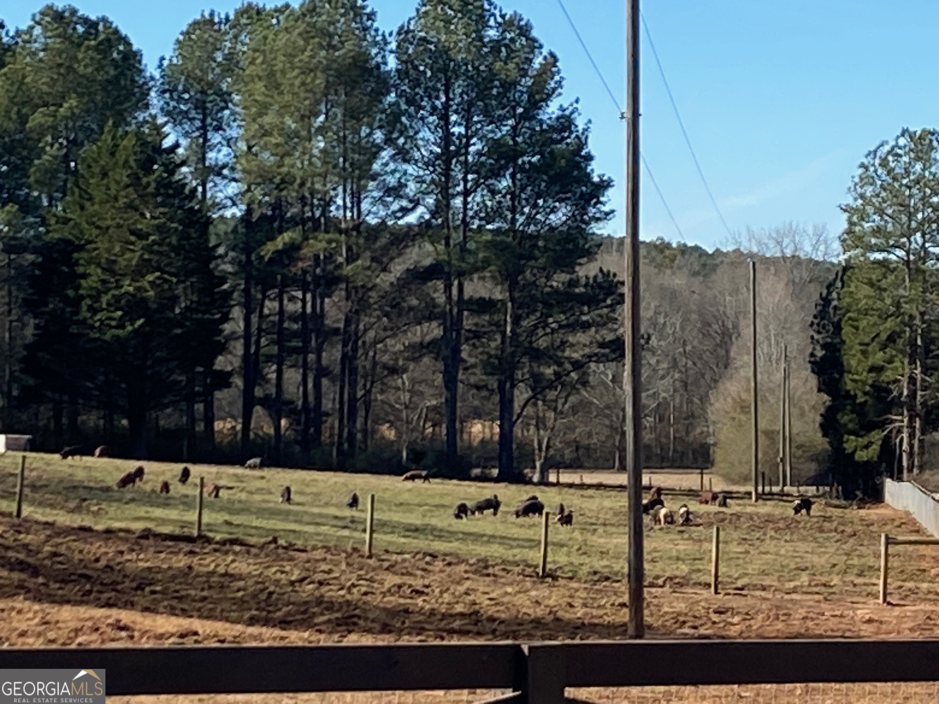 919 Arnold Bottoms Road