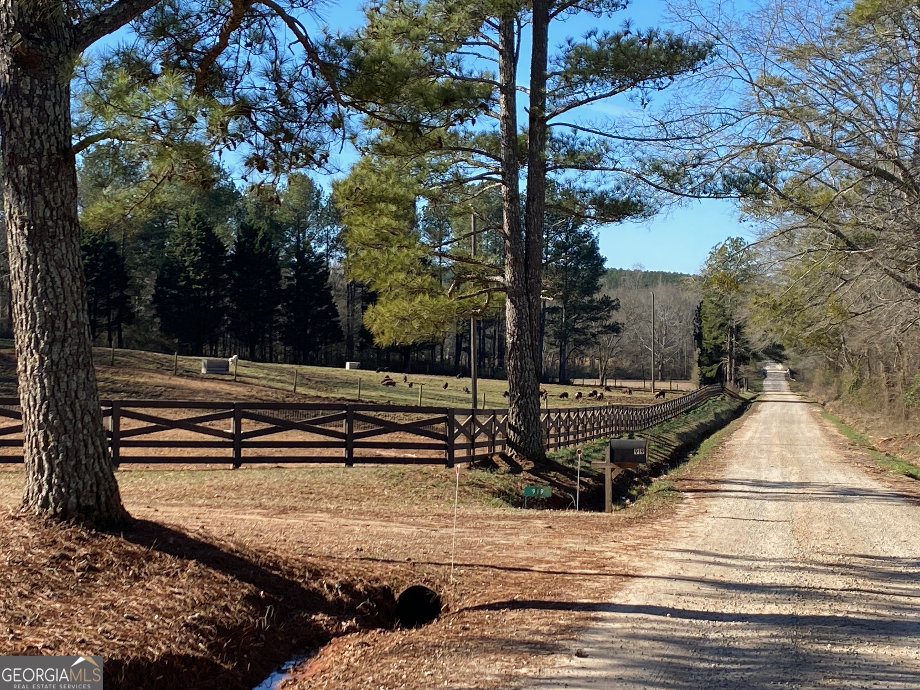 919 Arnold Bottoms Road