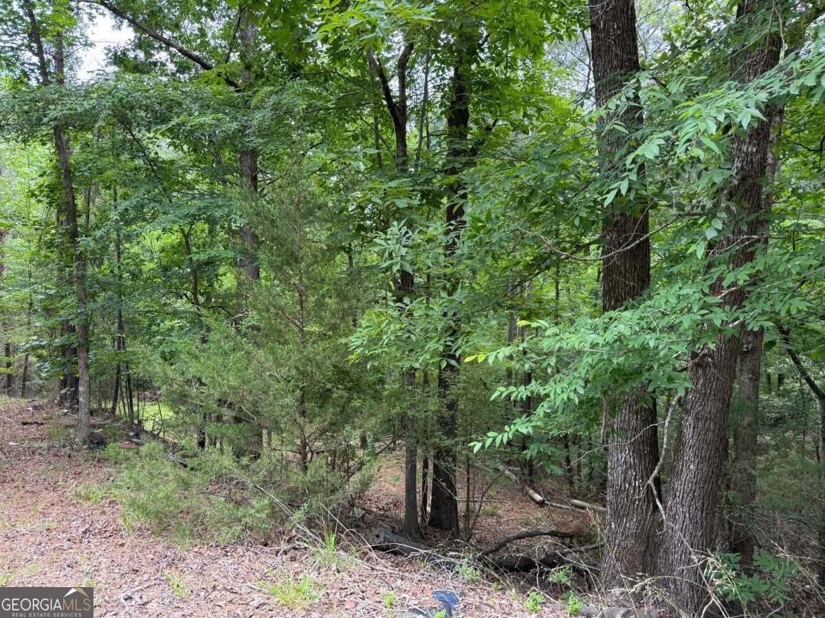 0 Bramlett Cir