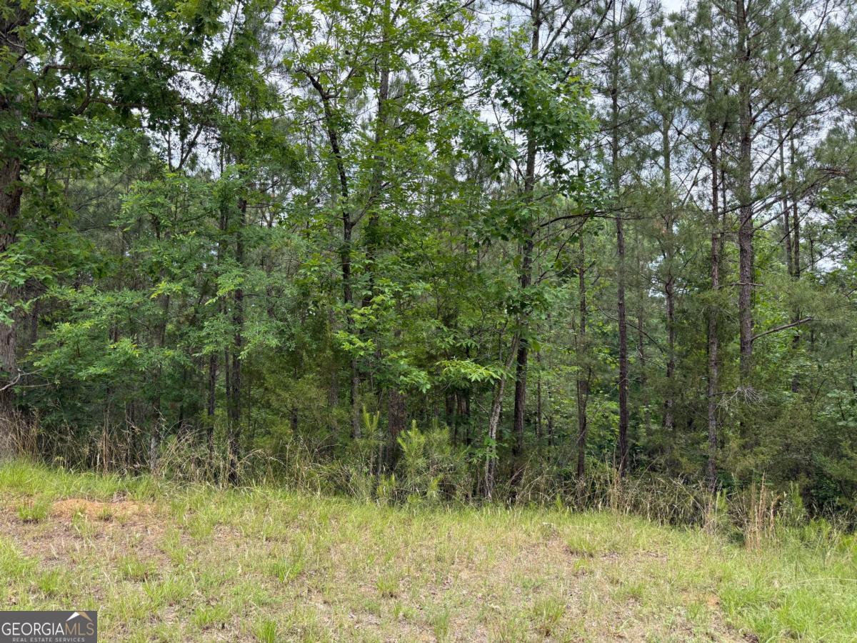 LOT 52 Bramlett Cr