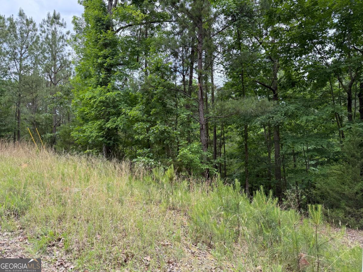 LOT 32 Bramlett Cr