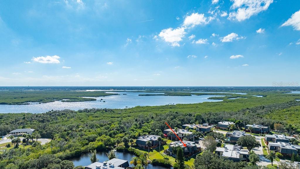 113 CEDAR DUNES DR