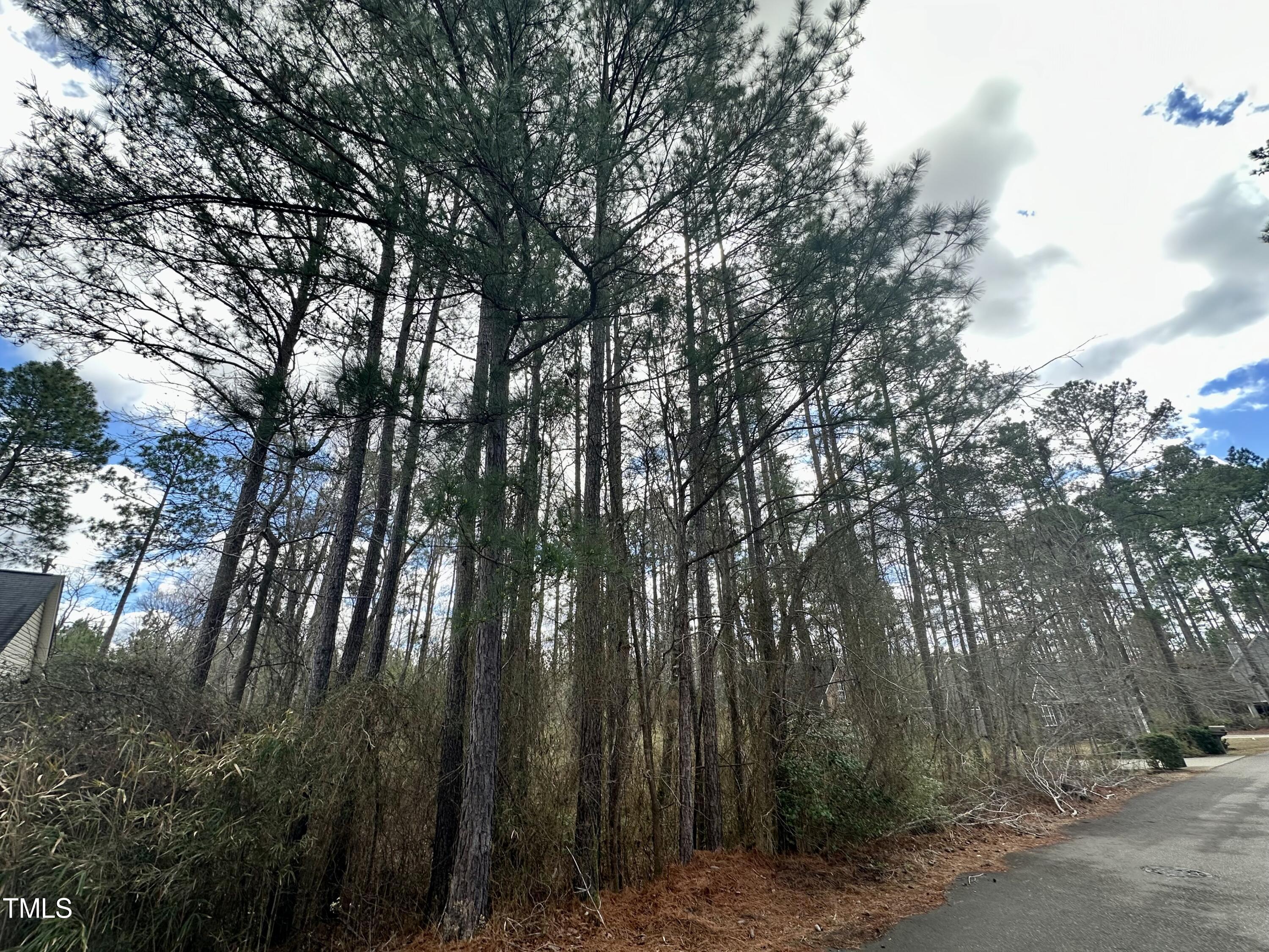 255 Maplewood Drive