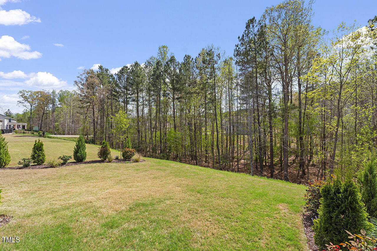 1137 Spring Meadow Way
