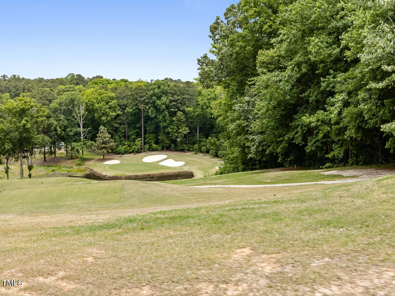 146 Wood Wedge