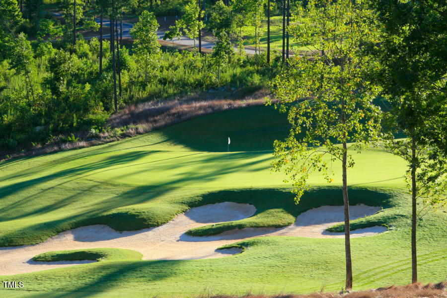 8 Pin Tail Court