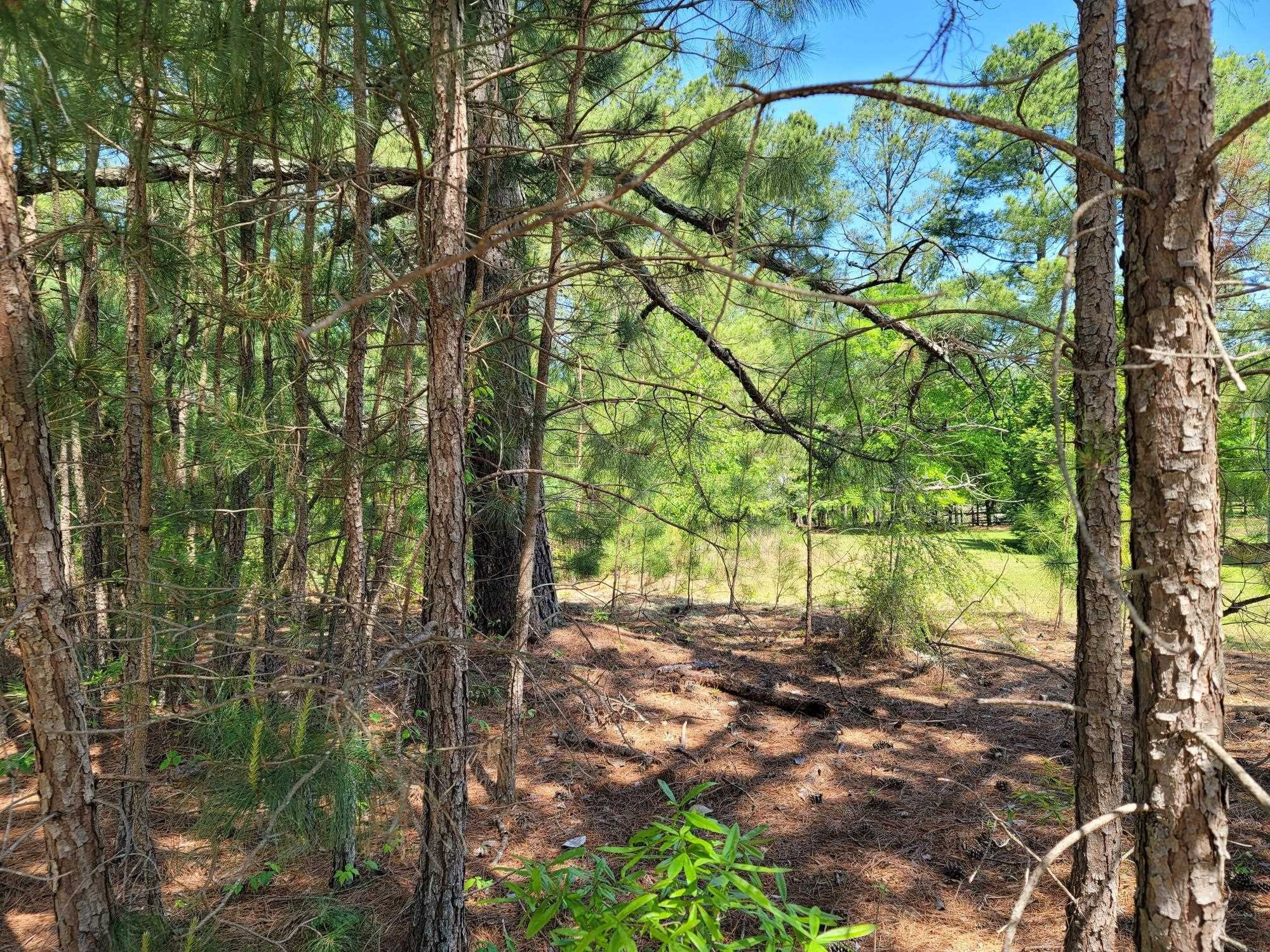 6043 Saint Andrews Drive