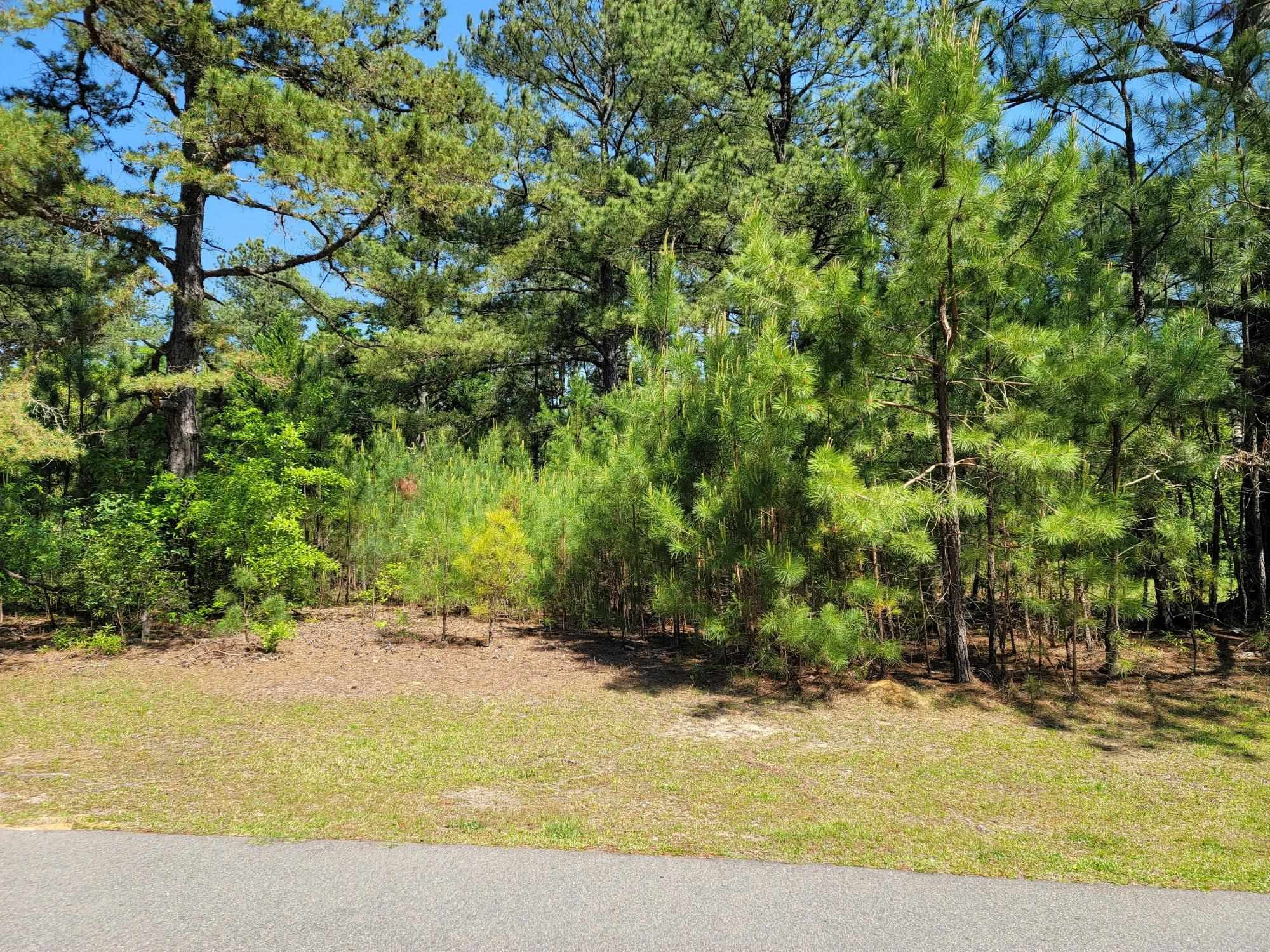 6043 Saint Andrews Drive