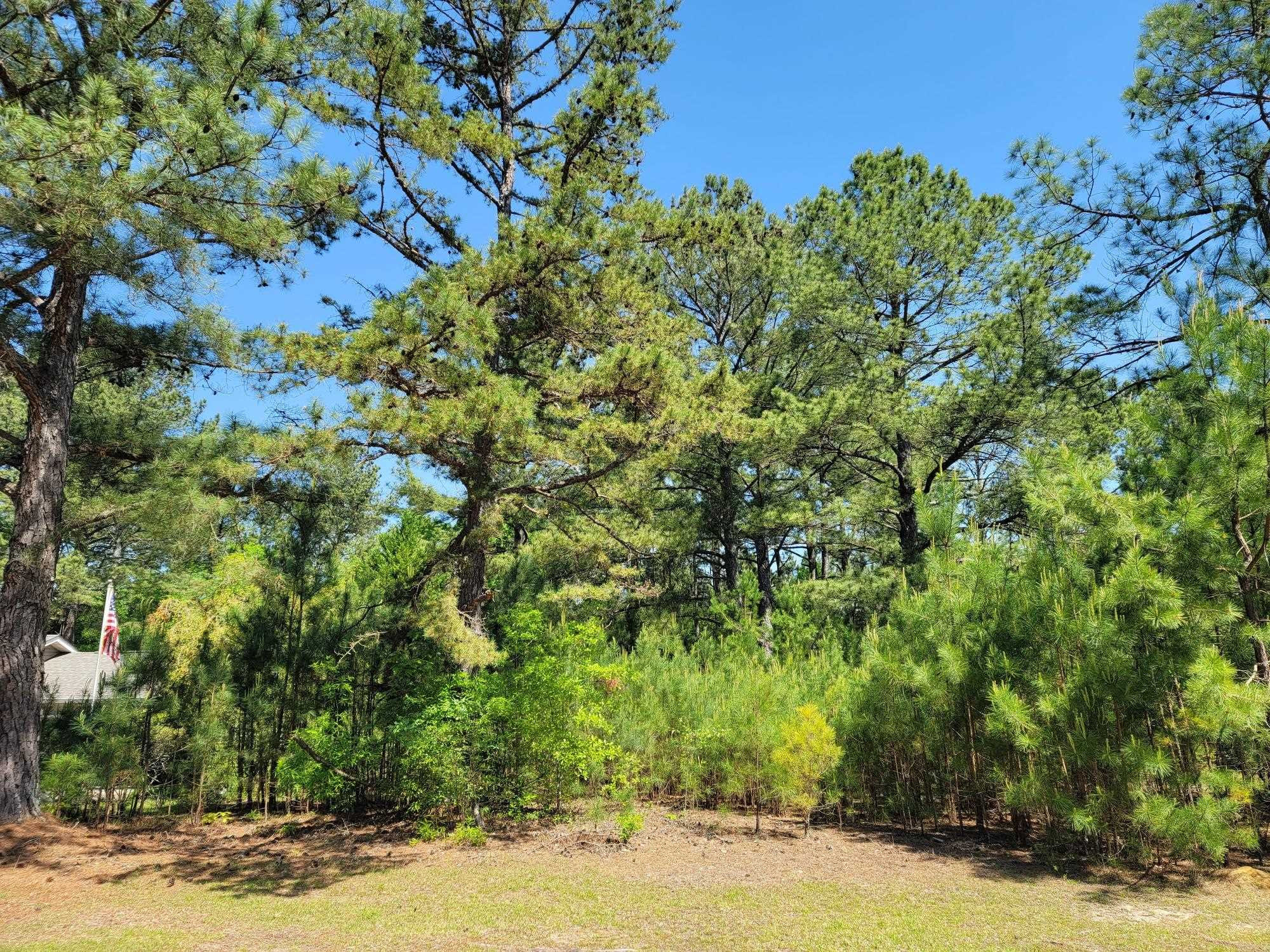 6043 Saint Andrews Drive