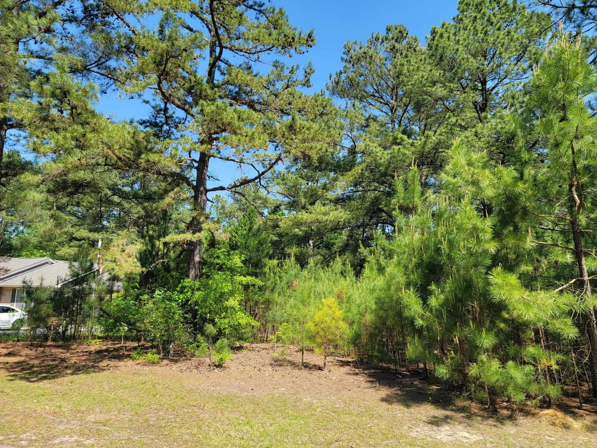 6043 Saint Andrews Drive