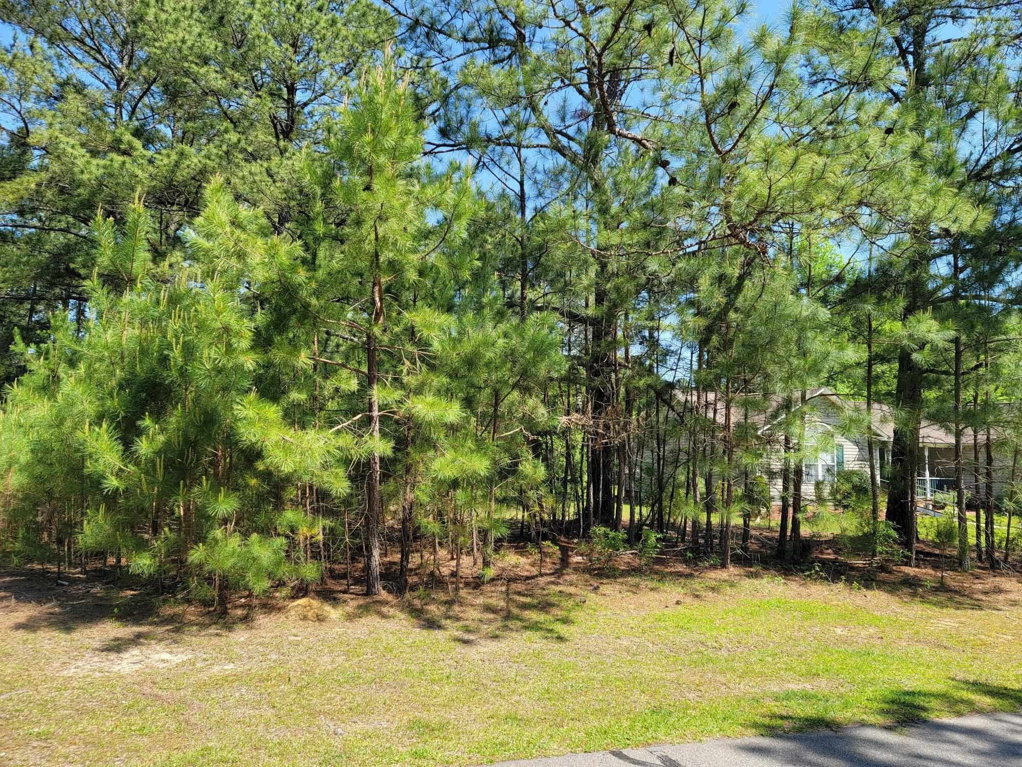 6043 Saint Andrews Drive