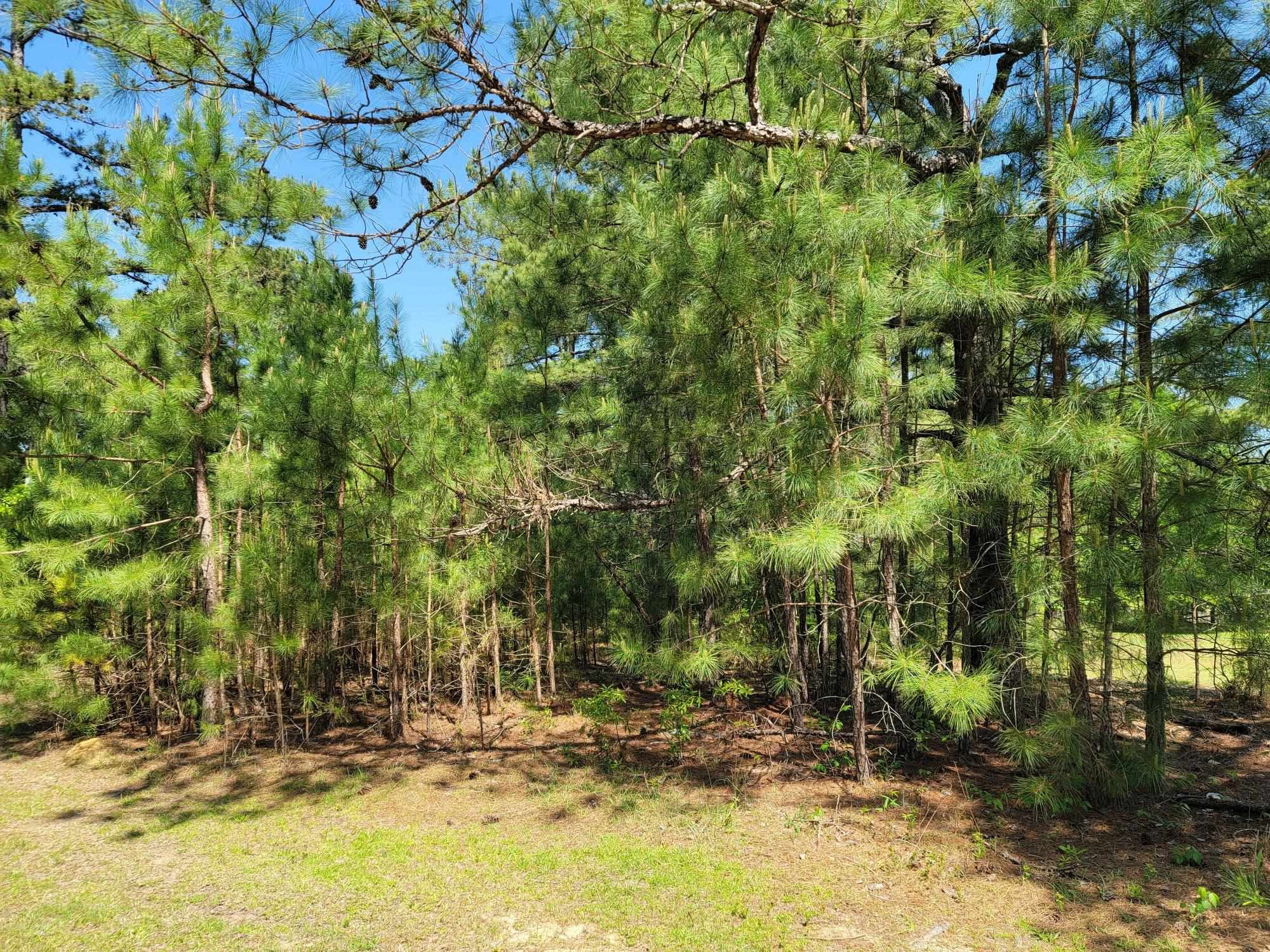 6043 Saint Andrews Drive