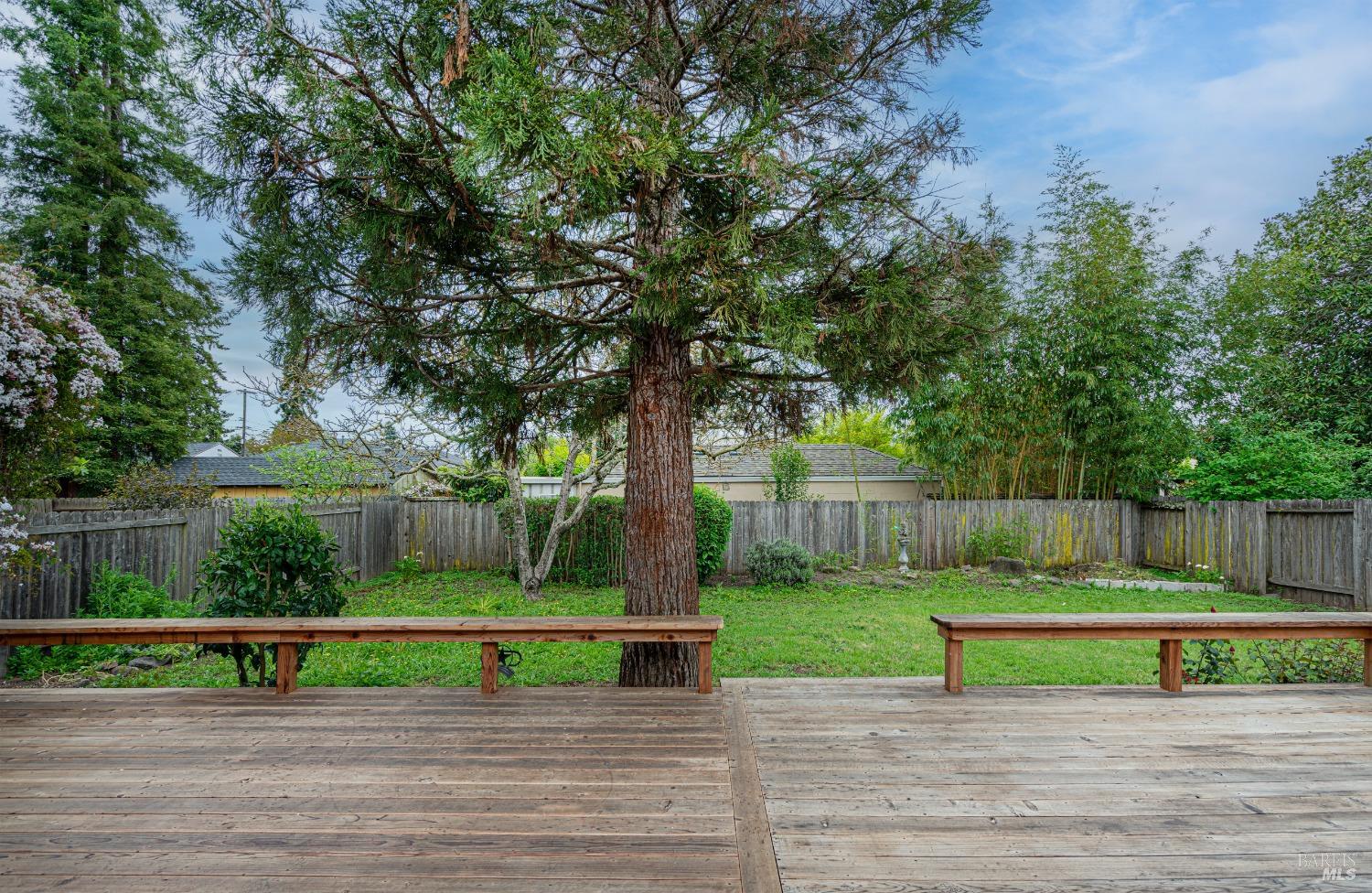 1912 Will Scarlet Ln