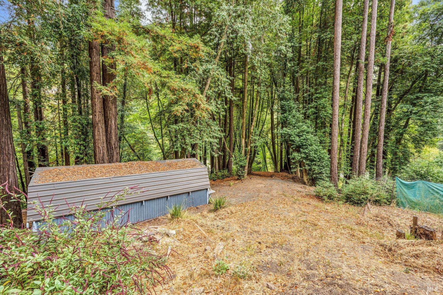 485 Cazadero Highway