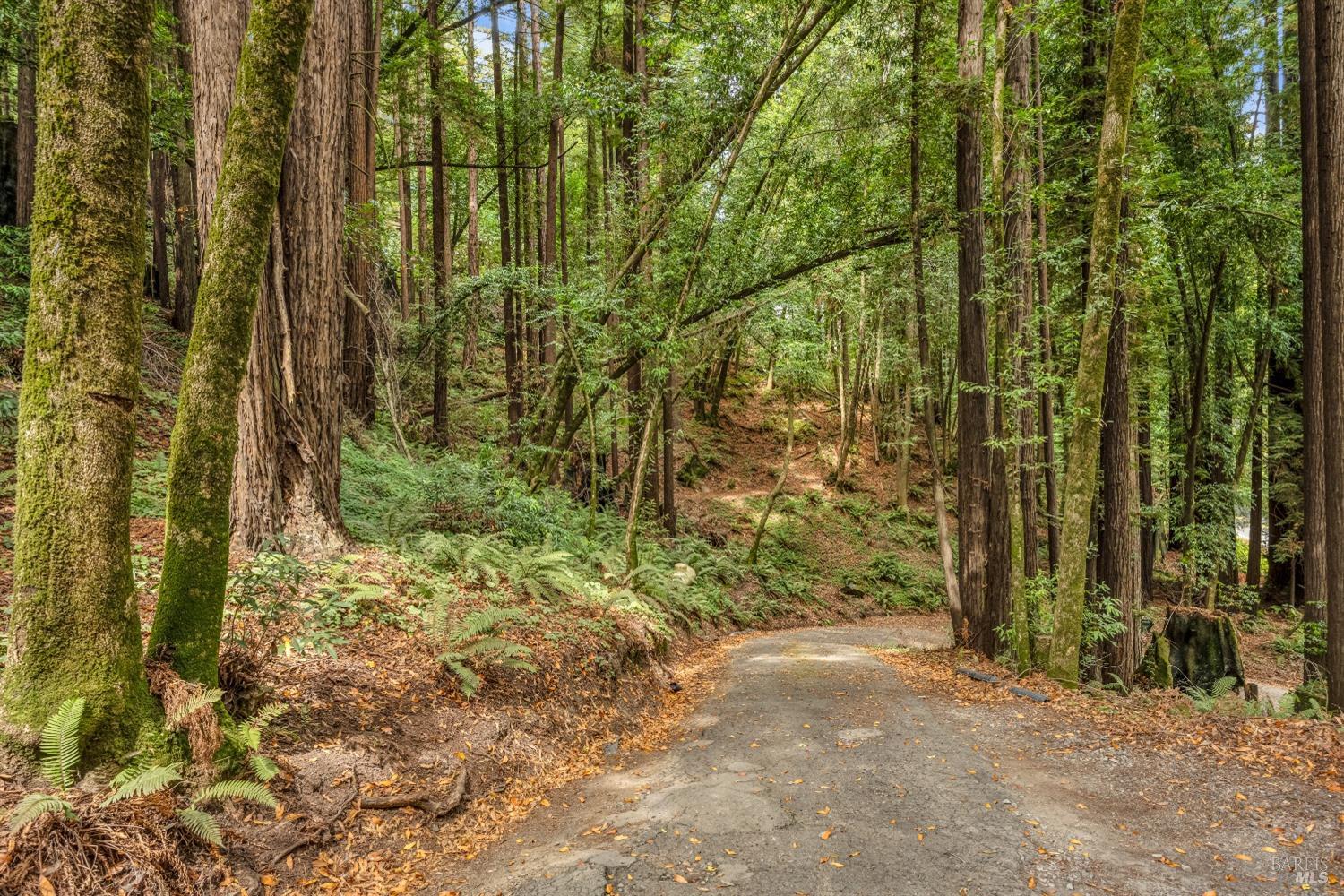 485 Cazadero Highway