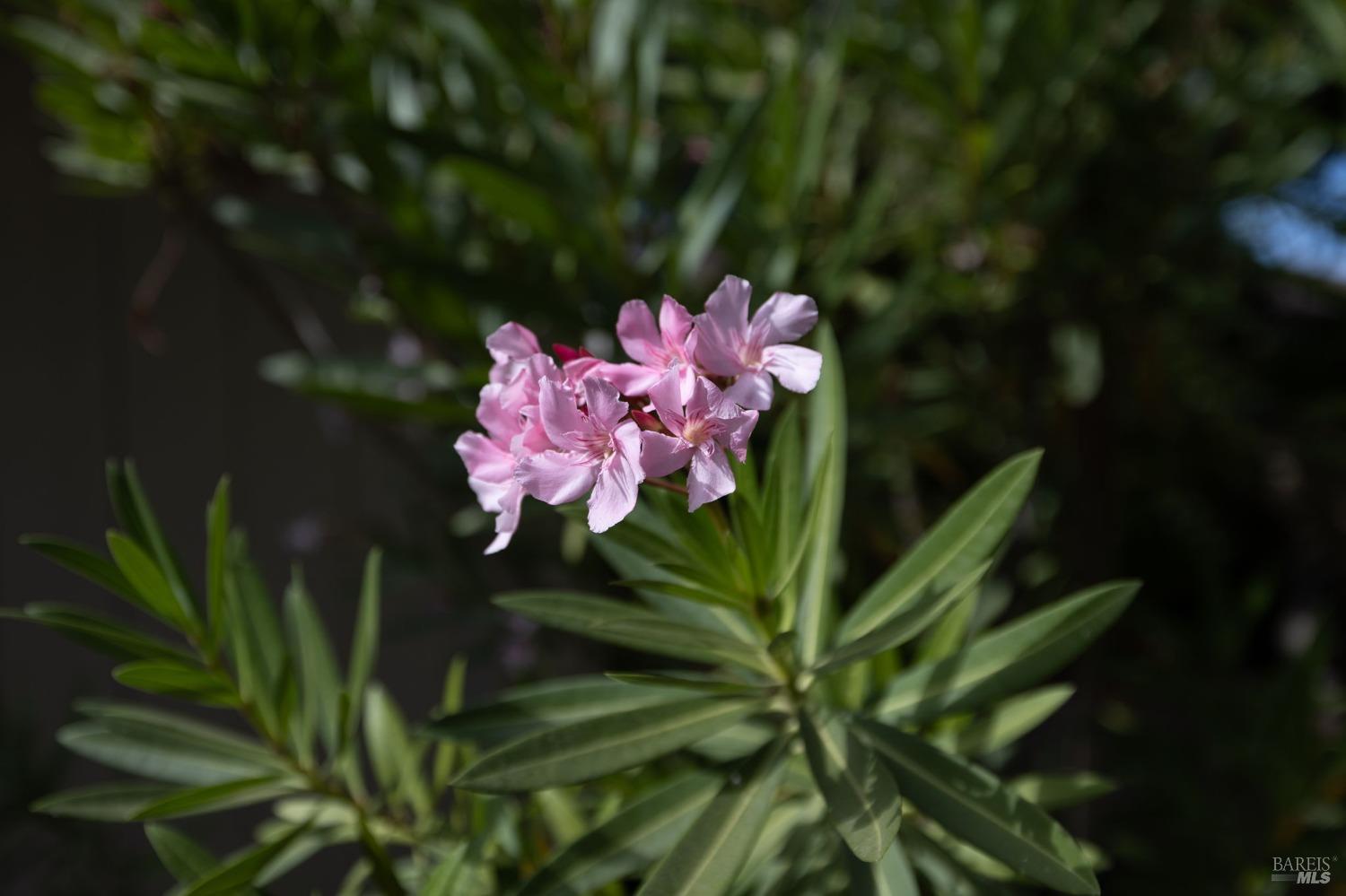 6585 Stone Bridge Rd