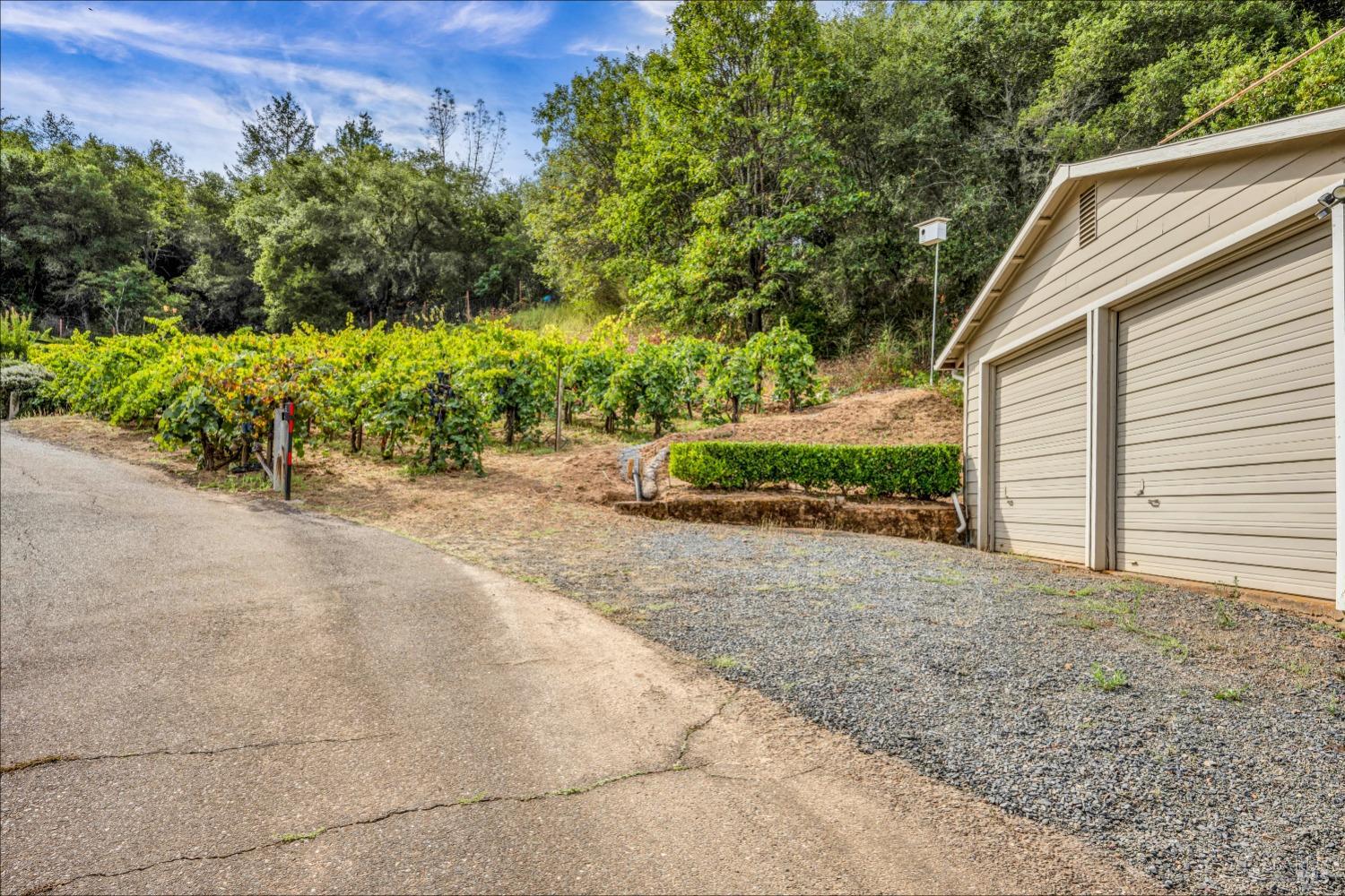 1389 Canyon Road