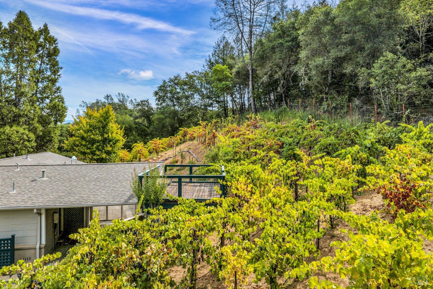 1389 Canyon Road