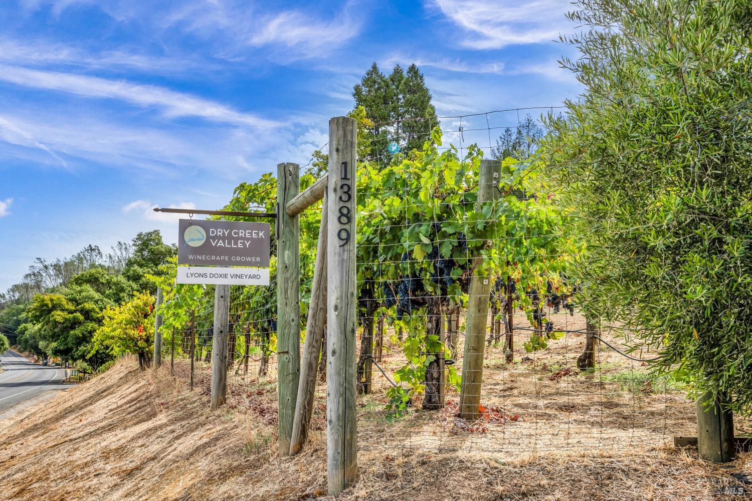 1389 Canyon Road