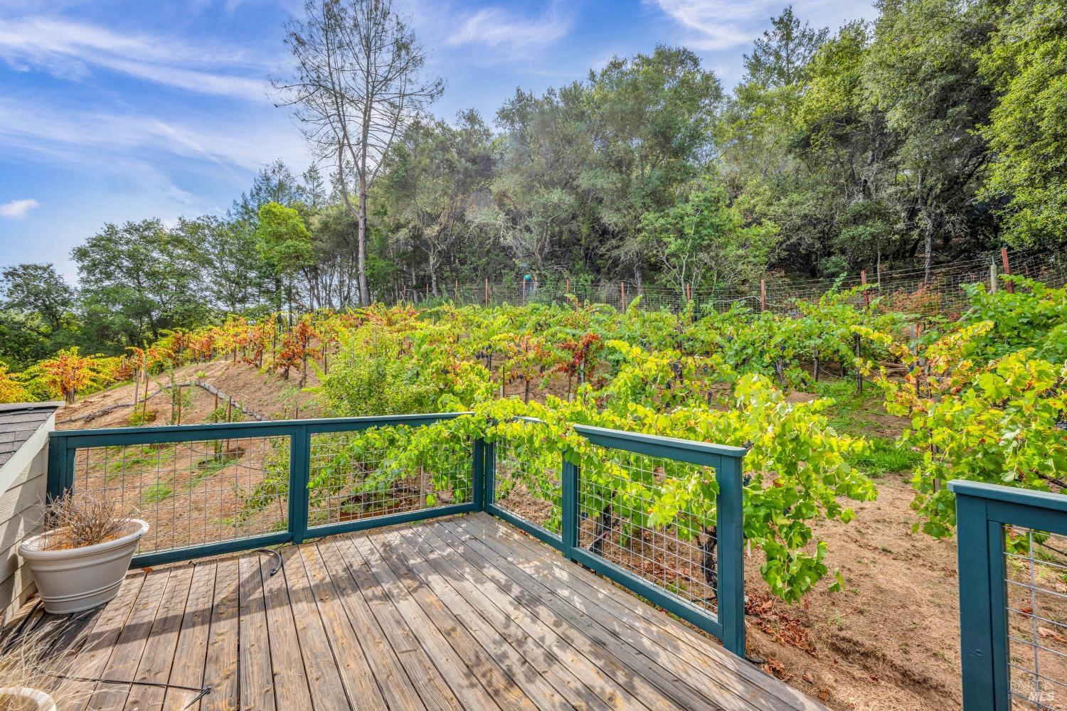 1389 Canyon Road