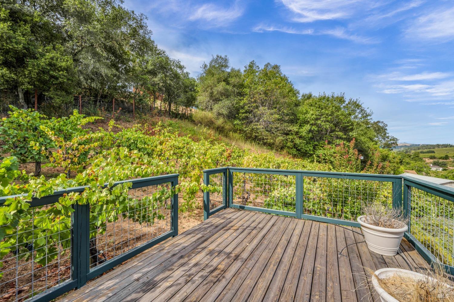 1389 Canyon Road