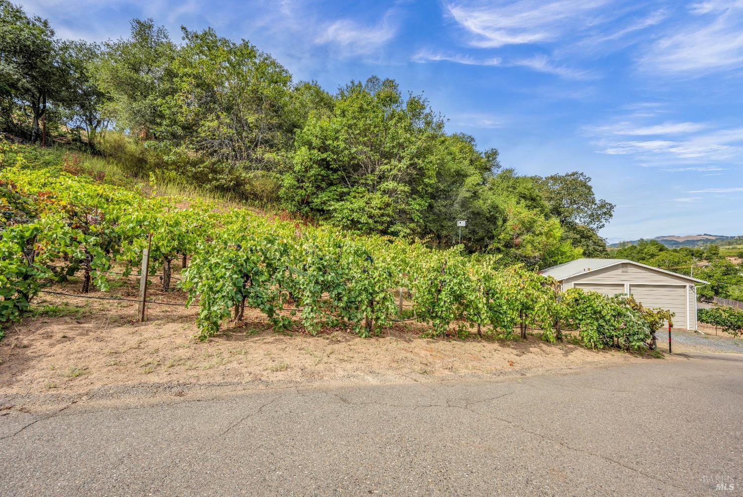 1389 Canyon Road