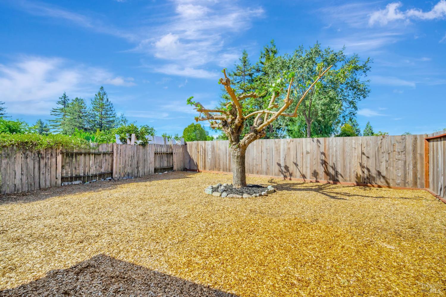 1447 Beachwood Drive