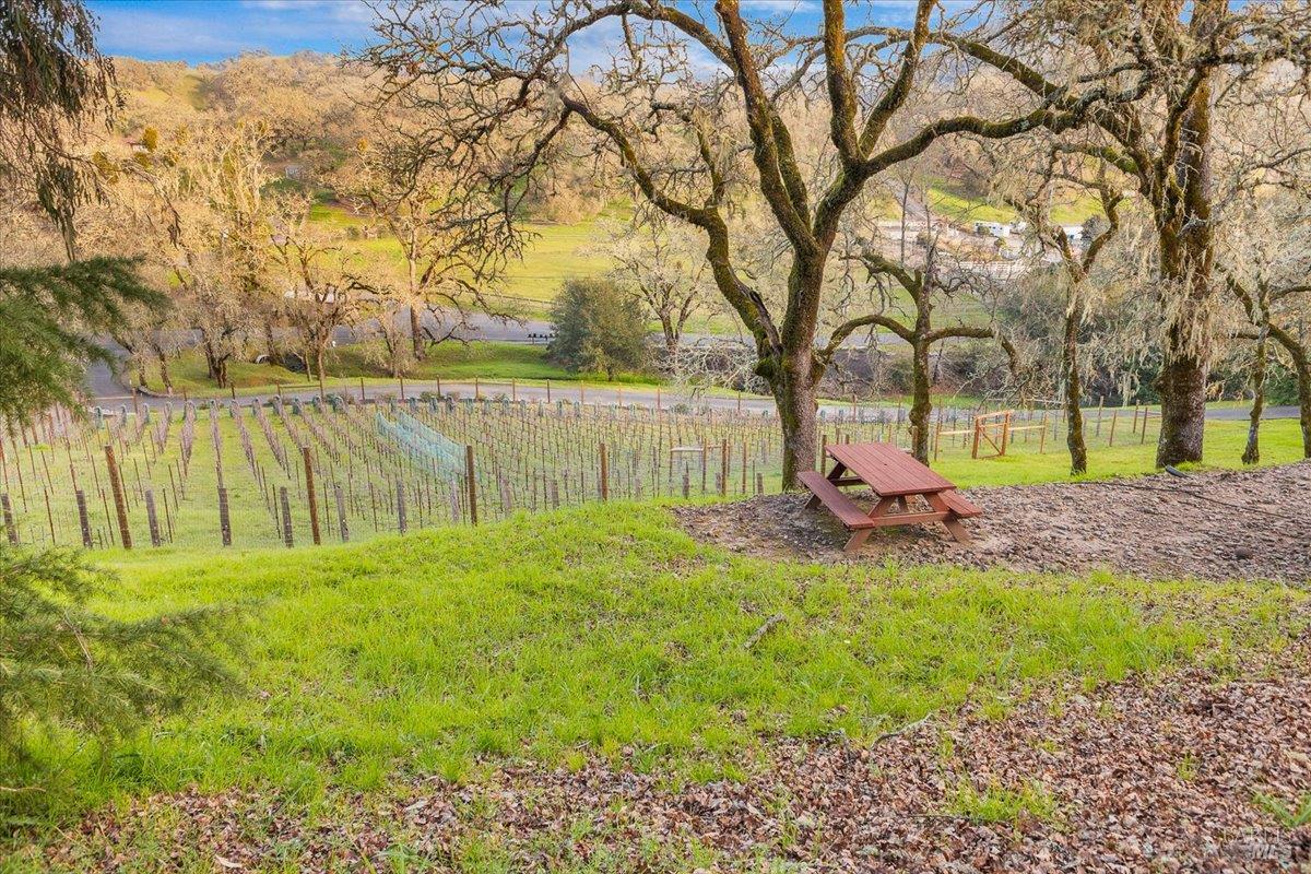 10045 Loch Haven Drive