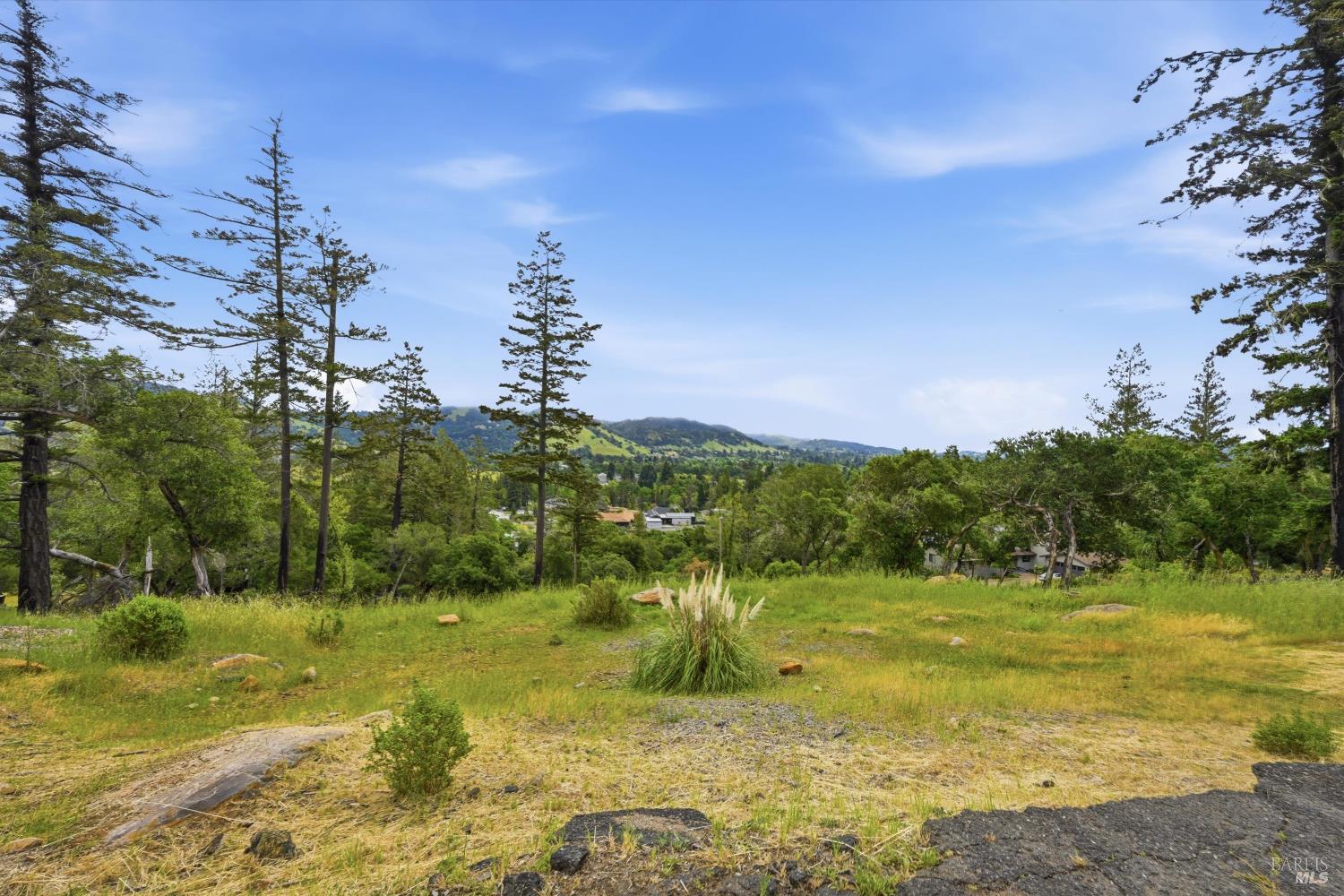 3577 Deer Trail Road