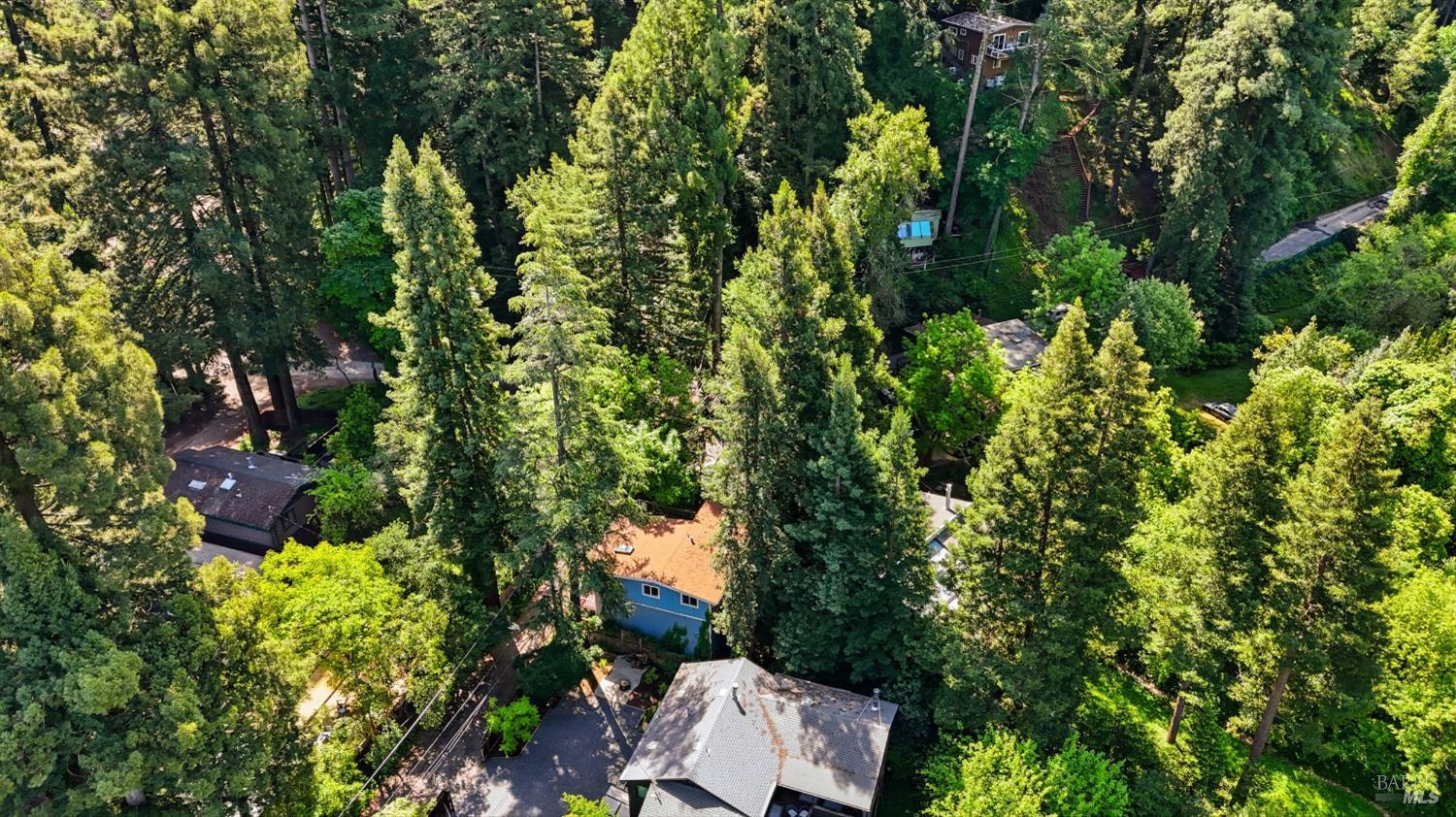 10840 Buena Vista Lane