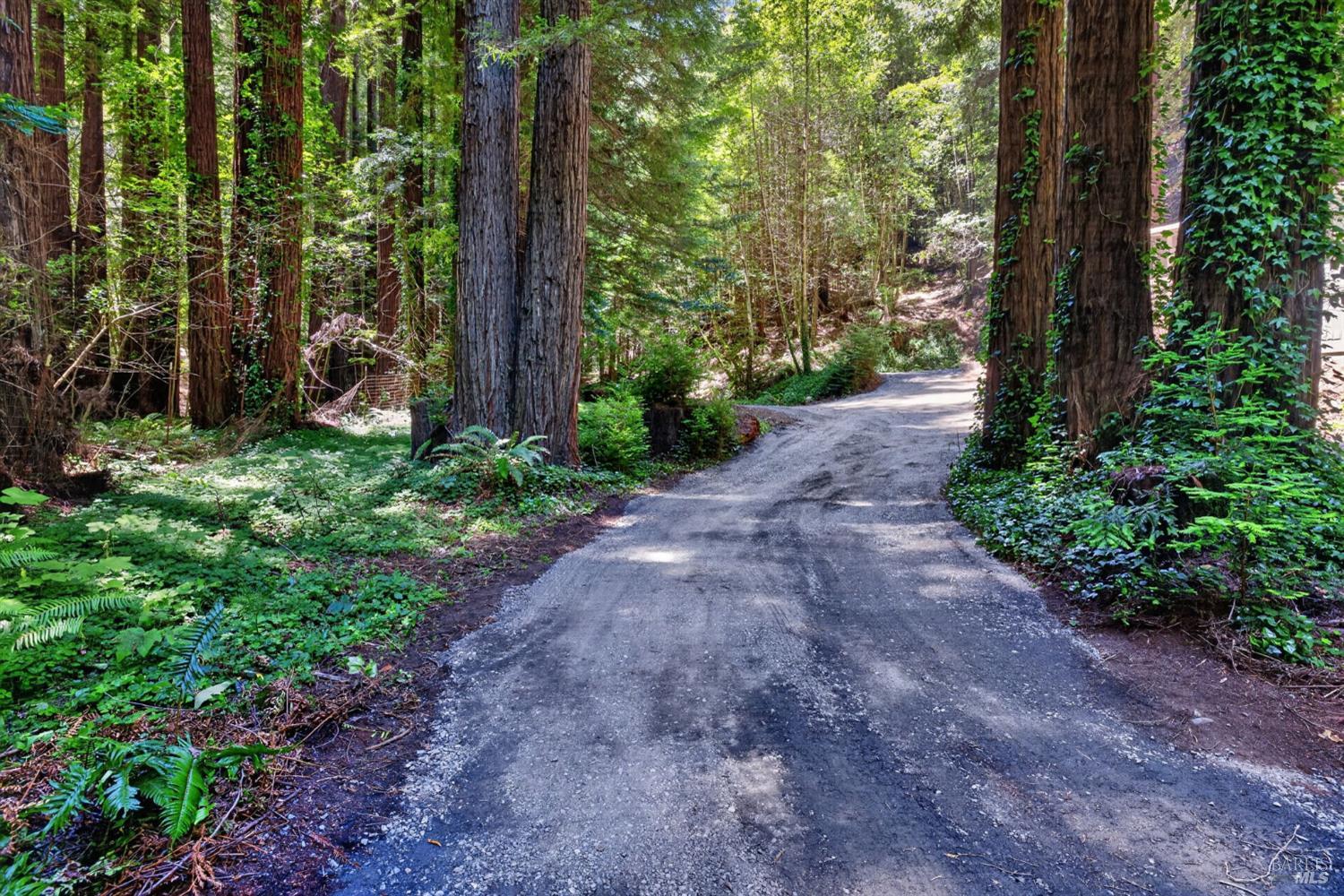 1585 Cazadero Highway