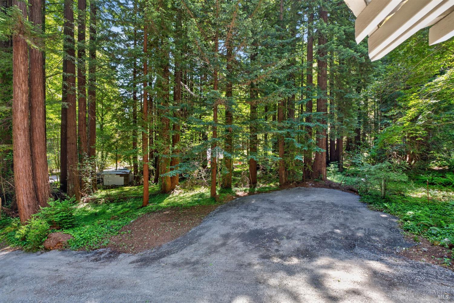 1585 Cazadero Highway